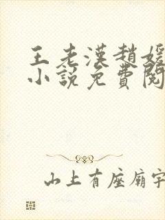 王老汉赵媛媛王小说免费阅读