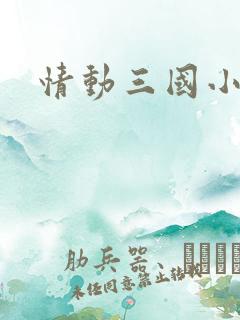 情动三国小说