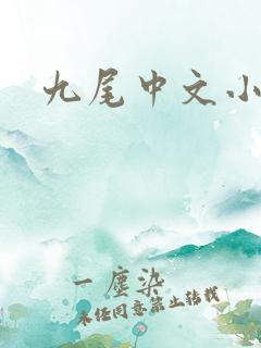 九尾中文小说网