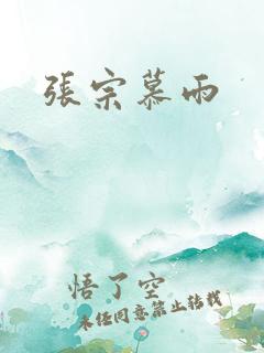 张宗慕雨