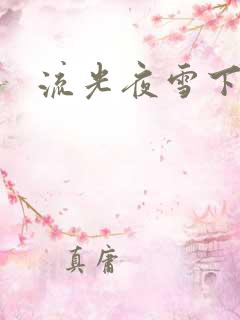 流光夜雪下载