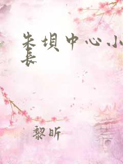朱坝中心小学校长