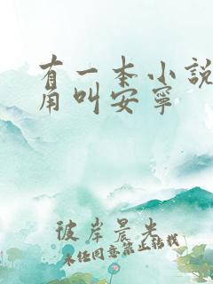 有一本小说女主角叫安宁