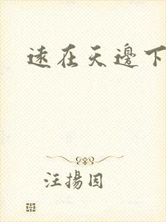远在天边下载