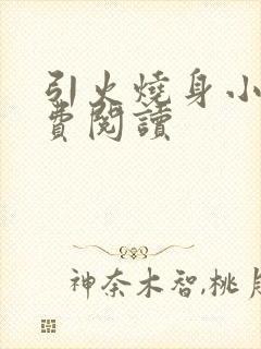 引火烧身小说免费阅读