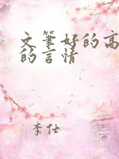 文笔好的高质量的言情