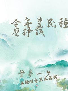 今年农民种植什么挣钱