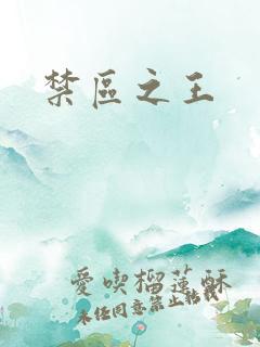禁区之王