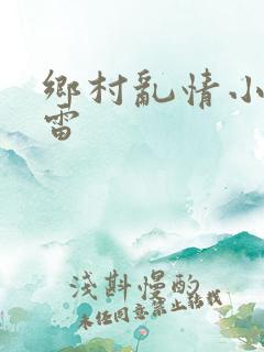 乡村乱情小说小雷