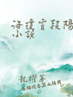 洛琼霄段阳澍的小说