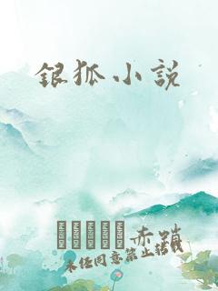 银狐小说
