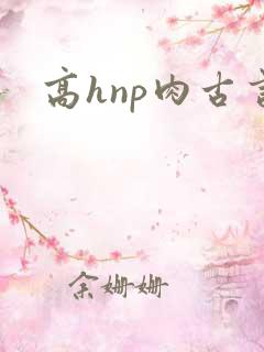 高hnp肉古言