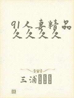 91人妻精品久久久久久