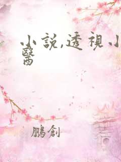 小说,透视小村医