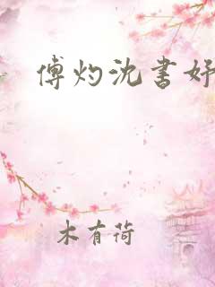 傅灼沈书妤