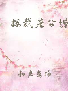 总裁老公缠上门
