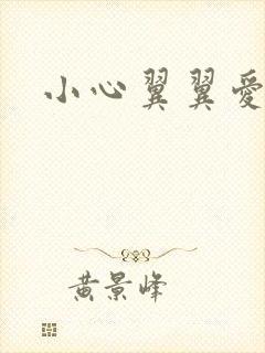 小心翼翼爱上你