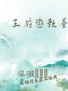 王府惩教养日常