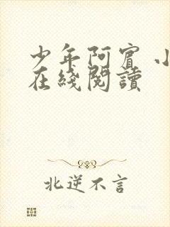 少年阿宾 小说在线阅读