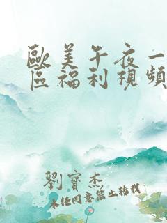 欧美午夜一区二区福利视频