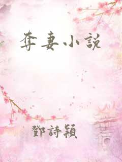 夺妻小说