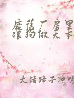 废旧厂房里和流浪狗做天本