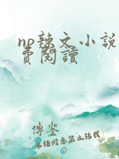 np辣文小说免费阅读