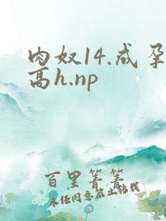 肉奴14.成孕高h.np