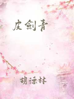 皮剑青