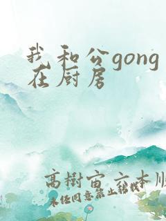 我和公gong在厨房