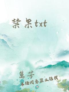 禁果txt