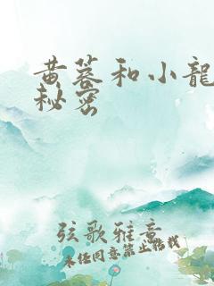 黄蓉和小龙女的秘密