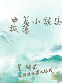 中篇小说集随风飘荡
