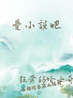爱小说吧