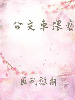 公交车猥亵妇女