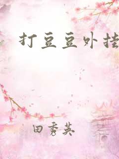 打豆豆外挂