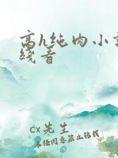 高h纯肉小说在线看