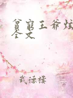 贫穷王爷炫富妃全文