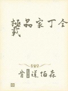 极品家丁全集下载