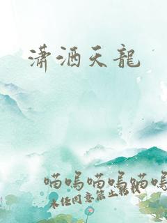 潇洒天龙