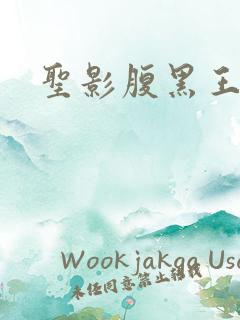 圣影腹黑王子帮