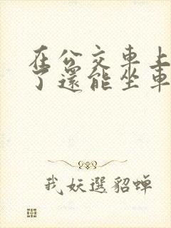 在公交车上高潮了还能坐车吗
