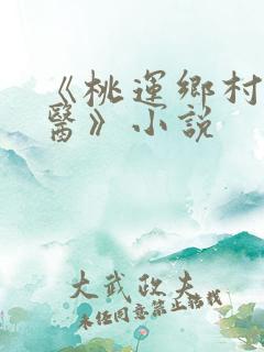 《桃运乡村小神医》小说