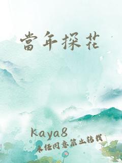 当年探花