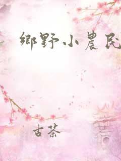 乡野小农民全集