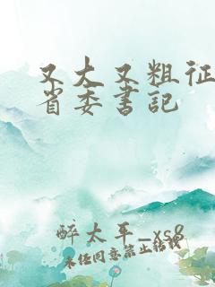 又大又粗征服女省委书记