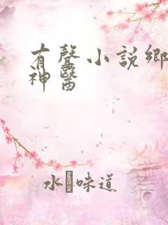 有声小说乡野小神医