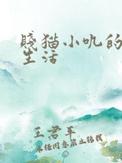 贱猫小叽的幸福生活