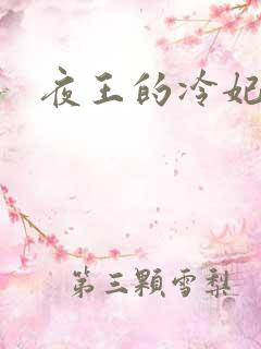 夜王的冷妃