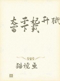 太子妃升职记迅雷下载